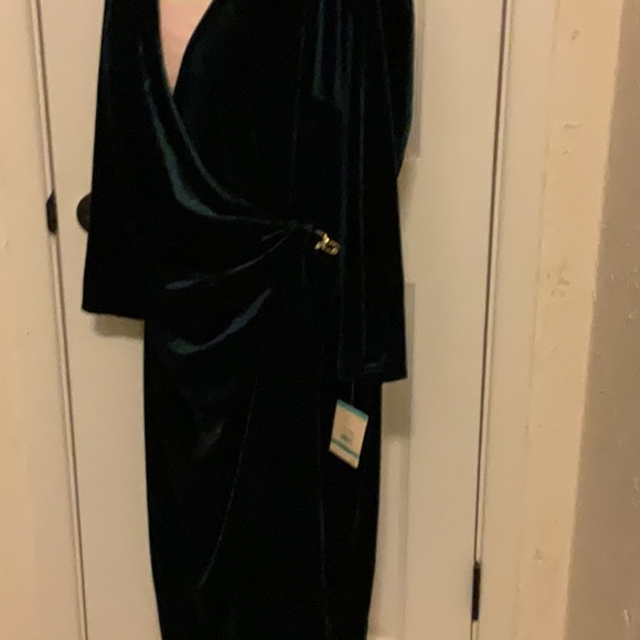 ANNE KLEIN Emerald Green Dress Size 16 NWT Retail $119 LAST ONE - Picture 2 of 6